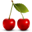 cherry-icon.png